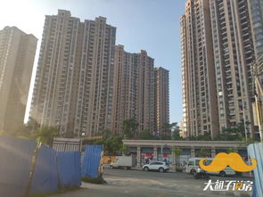 四人房产怎么拍