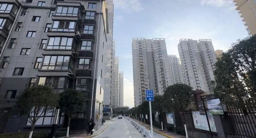 安康霸占房产怎么处理的