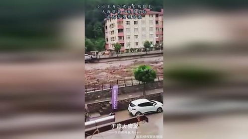 房产第一视角怎么拍 房产第一视角怎么拍