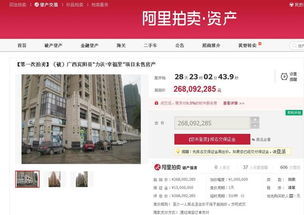 怎么查看自己拍卖的房产