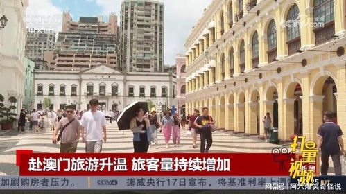 澳门回内地怎么抢房产