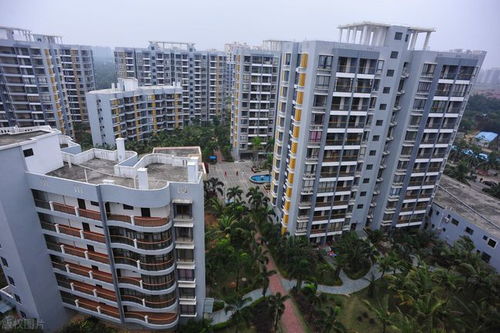 开发商怎么保护房产