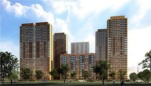 万科房产怎么做