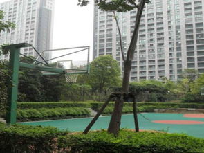 浙华房产怎么样 浙华房产怎么样