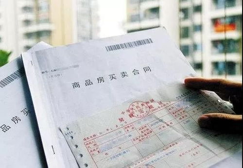 房产地税没交怎么罚款