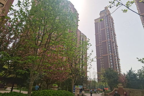 玖业房产怎么样