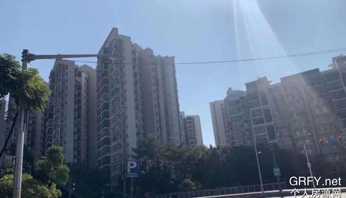 金沙洲房产怎么样