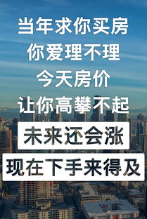 怎么跟房产销售压价
