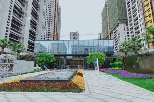 中天房产质量怎么样