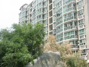 锦虹房产怎么样