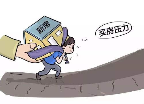 无工作 无房产怎么写