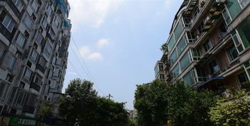 青羊区房产大厦怎么走