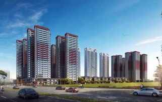 徐闻卓越房产怎么样