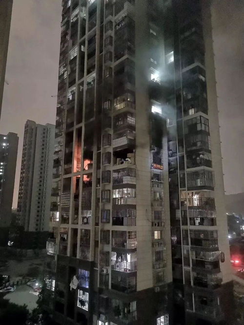 怎么举报房产强拆房子