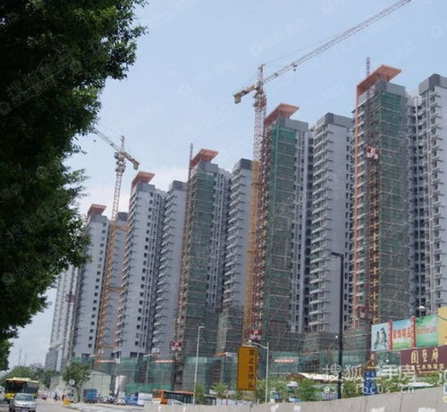 房产博主头像怎么选