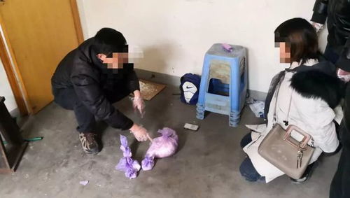 贩毒被抓房产怎么处理 贩毒被抓房产怎么处理