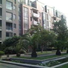 晋州房产怎么查房源出售