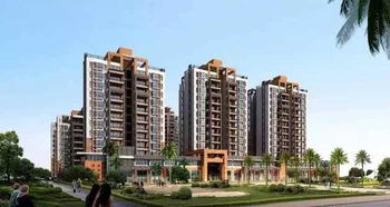 海口无忧房产怎么样