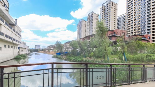 宁波金茂房产怎么样