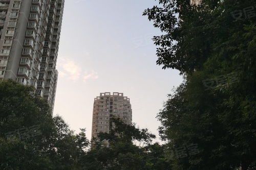 泰和居房产怎么样