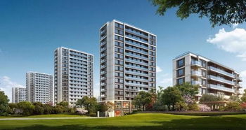 龙山房产怎么样