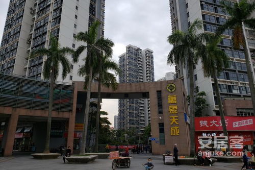 天成房产 中介怎么样