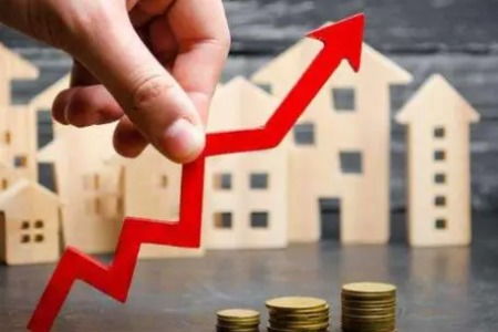 房产税务官司怎么打的