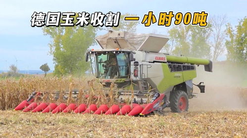 房产对内收割怎么办