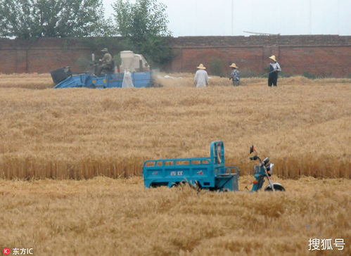 房产对内收割怎么办