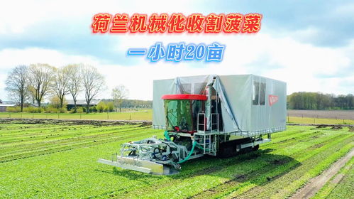 房产对内收割怎么办