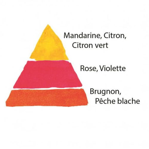 奥斯汀房产群怎么进入的 奥斯汀房产群怎么进入的