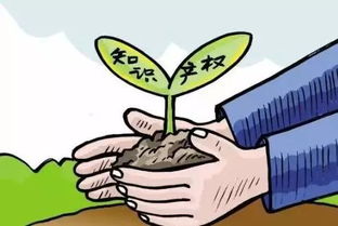 父亲病重房产信托怎么写