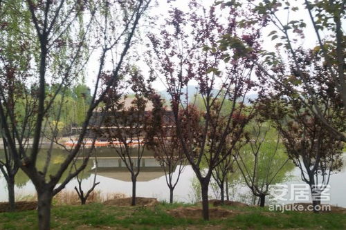 君山同城房产怎么样