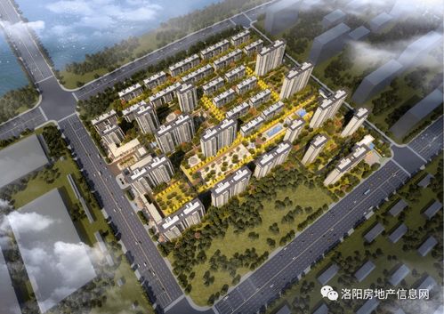 洛阳共有房产怎么上学