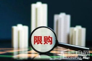 房产新号抖加怎么投