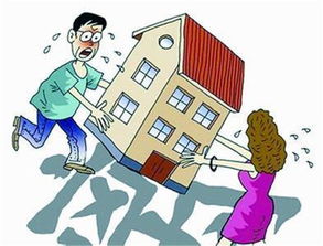 房产的份额怎么划分的