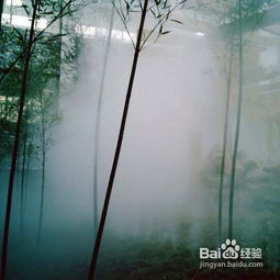 庐山温泉房产怎么样