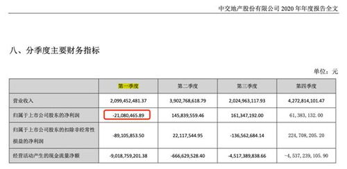公司房产项目年报怎么填