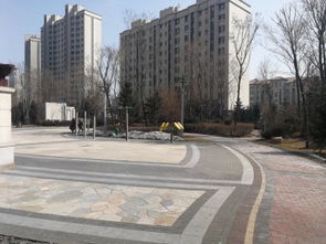 金安房产经纪怎么样