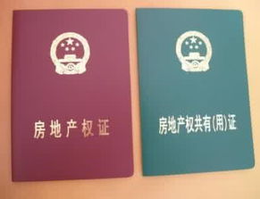 房产挂失挂失怎么挂失的