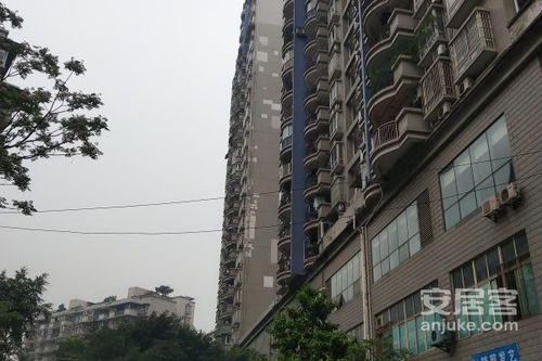 桐煜房产怎么样