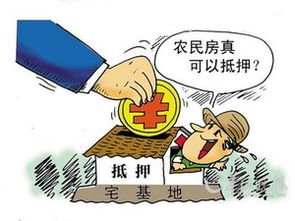 农民房产怎么抵押