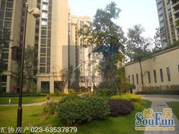 重庆怎么投资优质房产