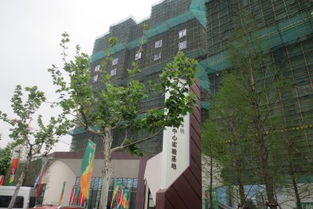 上海信义房产怎么没了