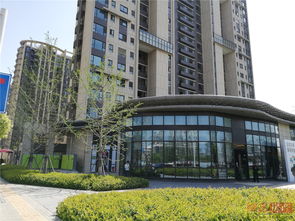 上海信义房产怎么没了