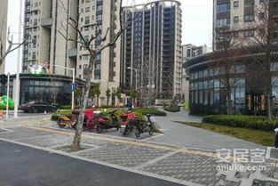 上海信义房产怎么没了