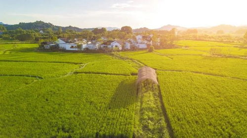稻田房产口碑怎么样