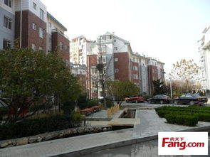 晨鑫房产怎么样