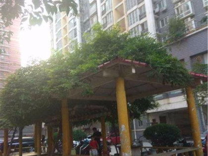 亿安房产怎么样