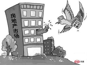 违规购入的房产怎么处置